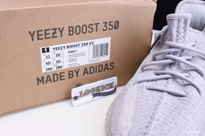 Light Tail Adidas V2 Yeezy FX9017 Boost 350 0816
